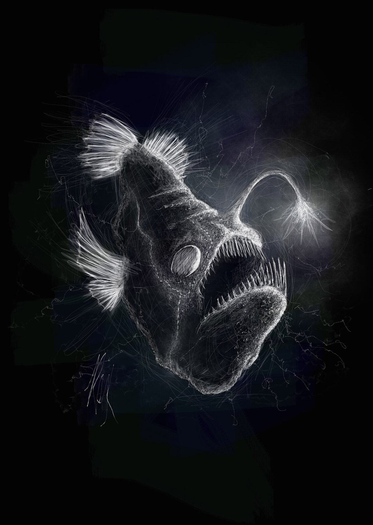 Black Ocean Angler Fish by Roxane Lapa