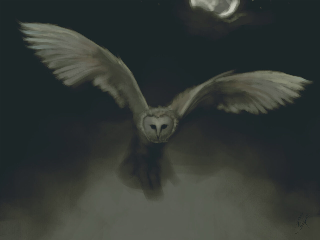 Barn Owl in Night Fog by Roxane Lapa