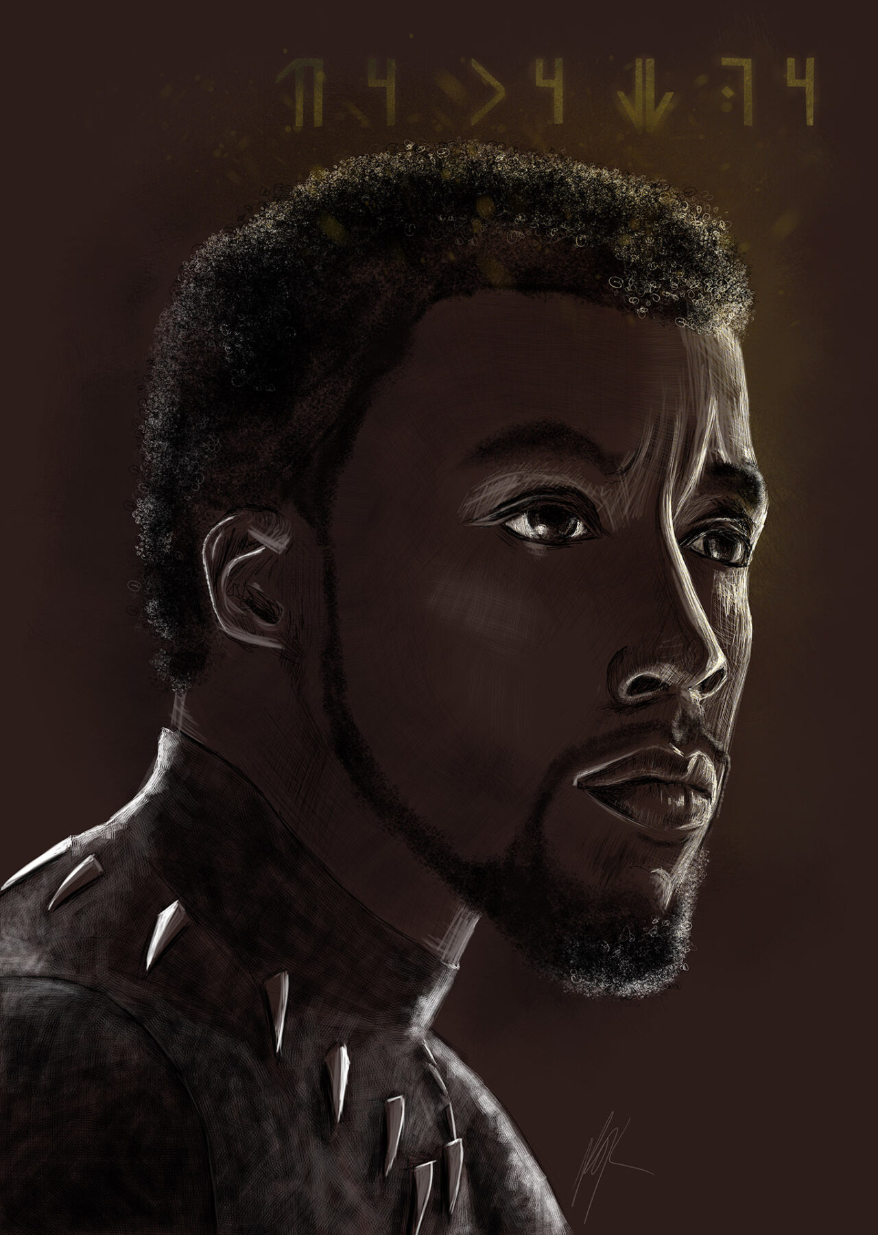 Chadwick Boseman Black Panther by Roxane Lapa