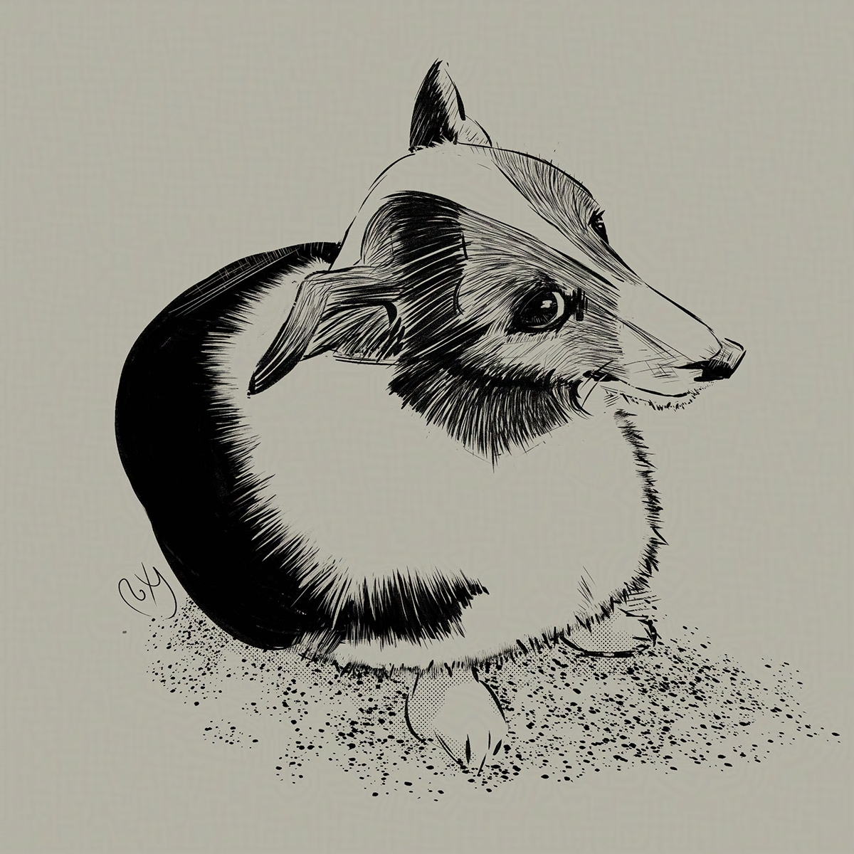 Ink Drawing by Roxane Lapa