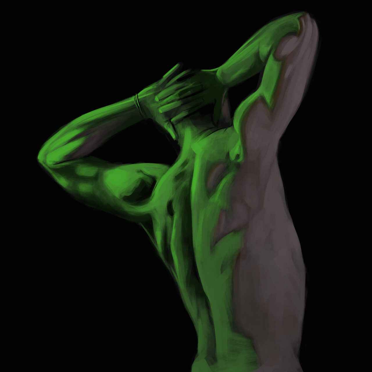Dramatic Lighting Study by Roxane Lapa
