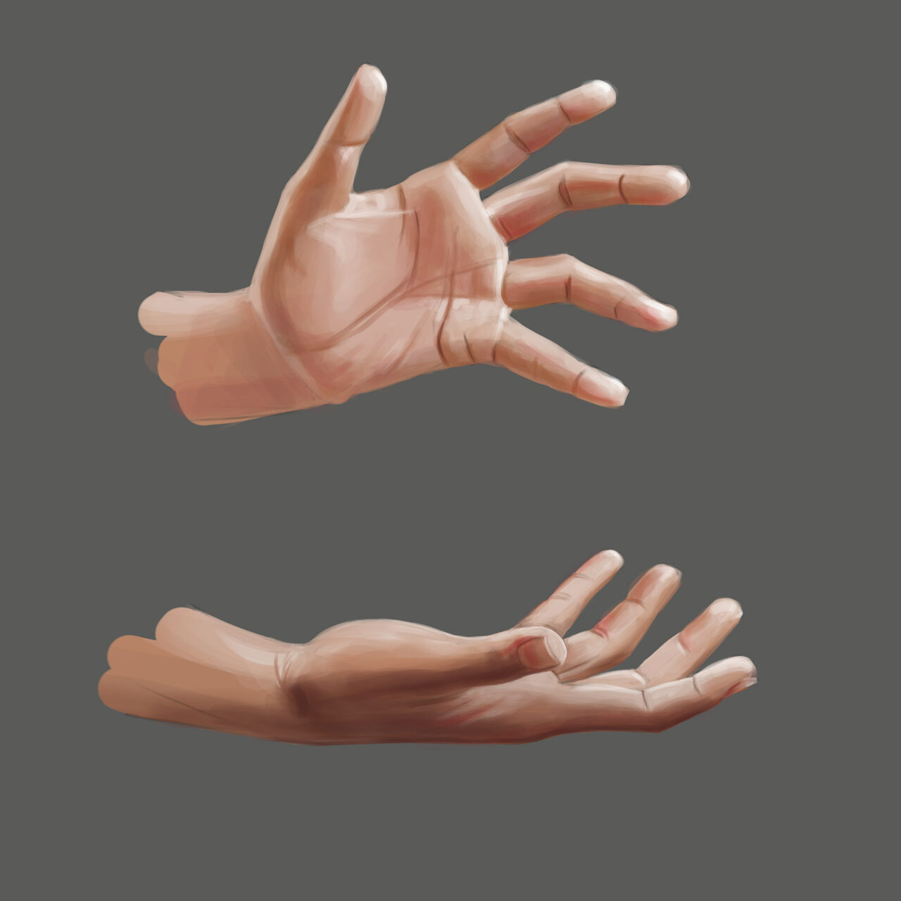Hand Study by Roxane Lapa