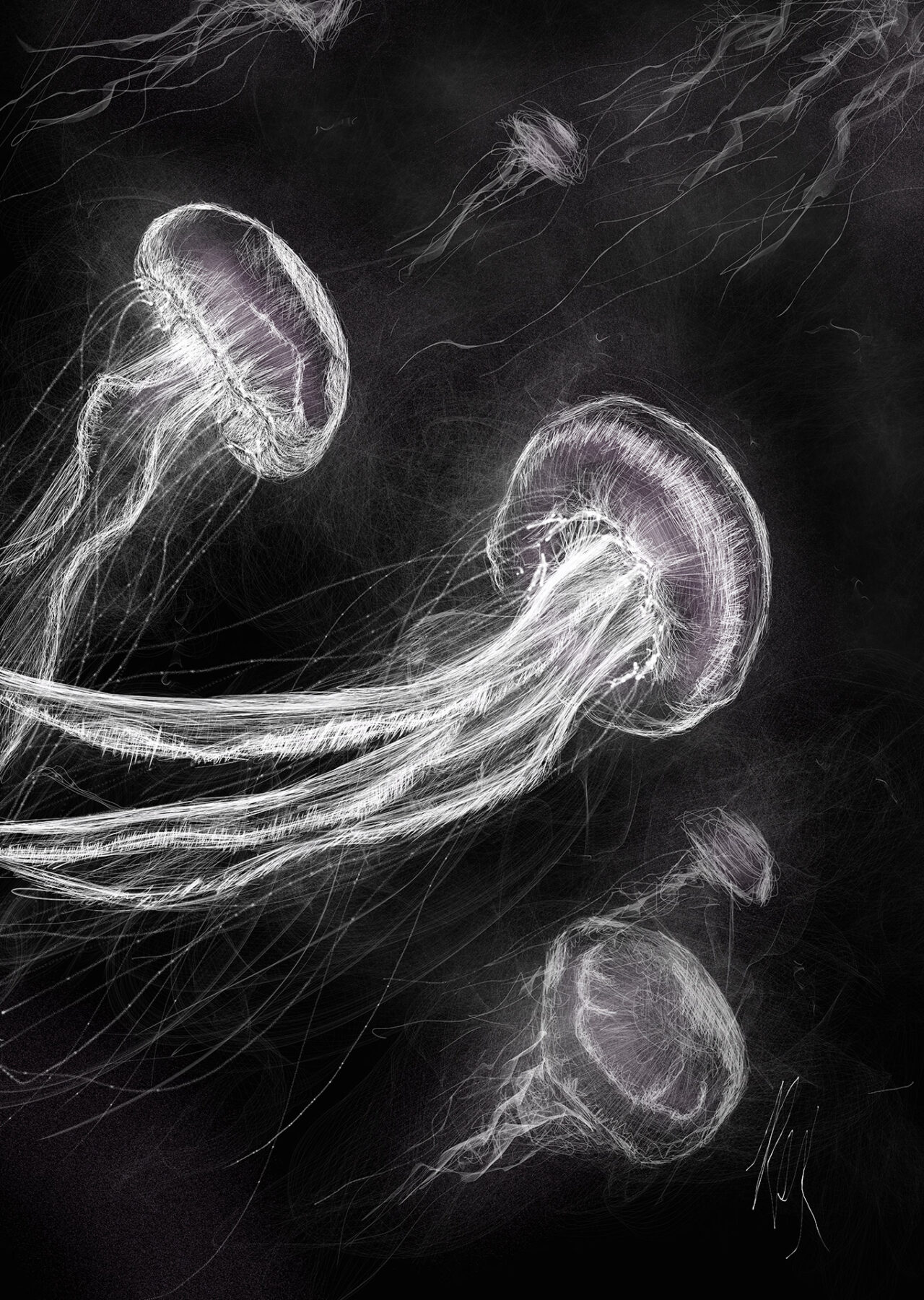 Black Ocean Jellyfishes by Roxane Lapa