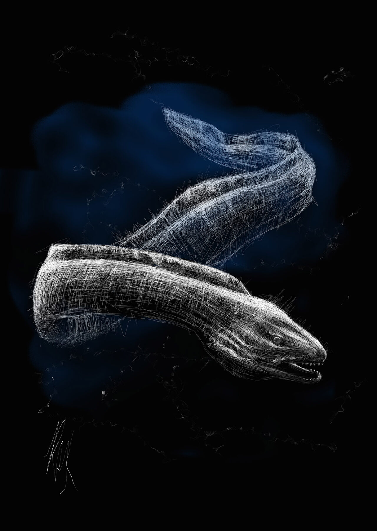 Black Ocean Moray Eel by Roxane Lapa