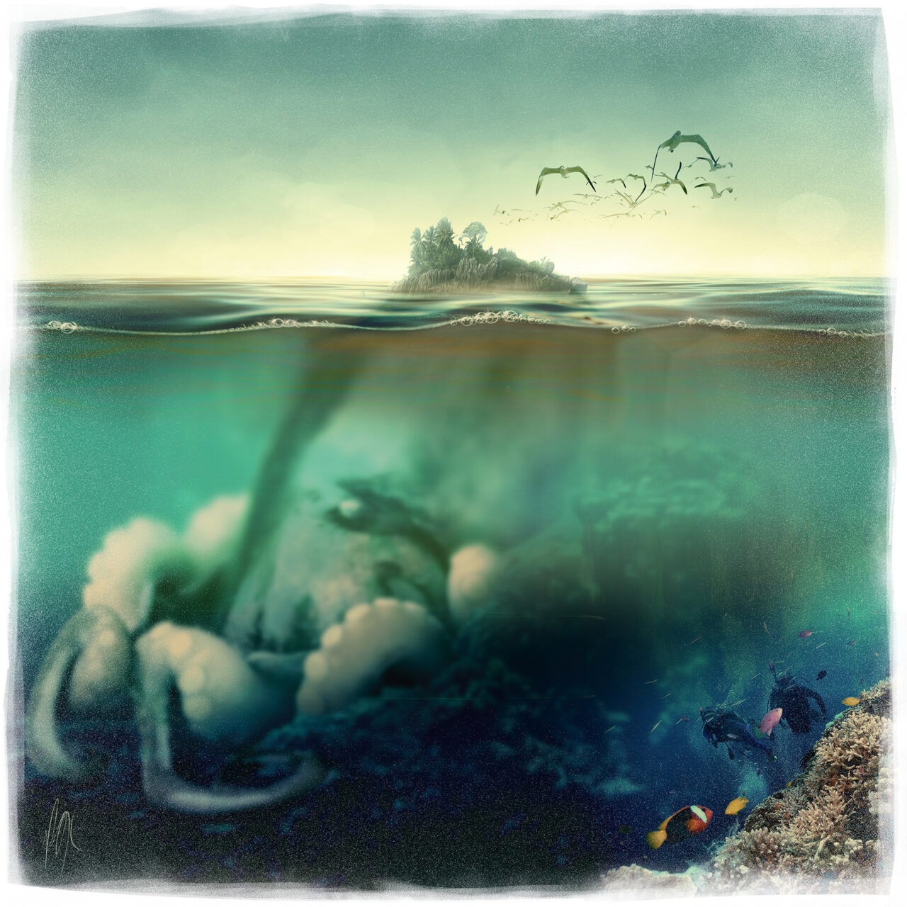 Octopus Island by Roxane Lapa