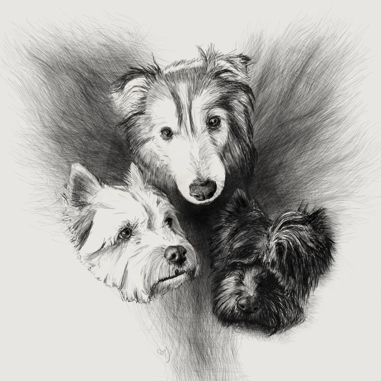 Pencil Portrait of 3 Dogs by Roxane Lapa