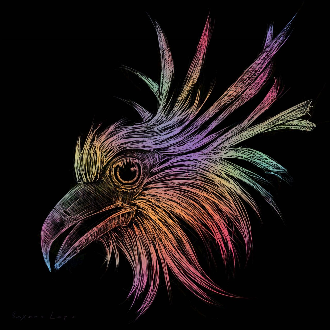 Rainbow Secretary Bird by Roxane Lapa