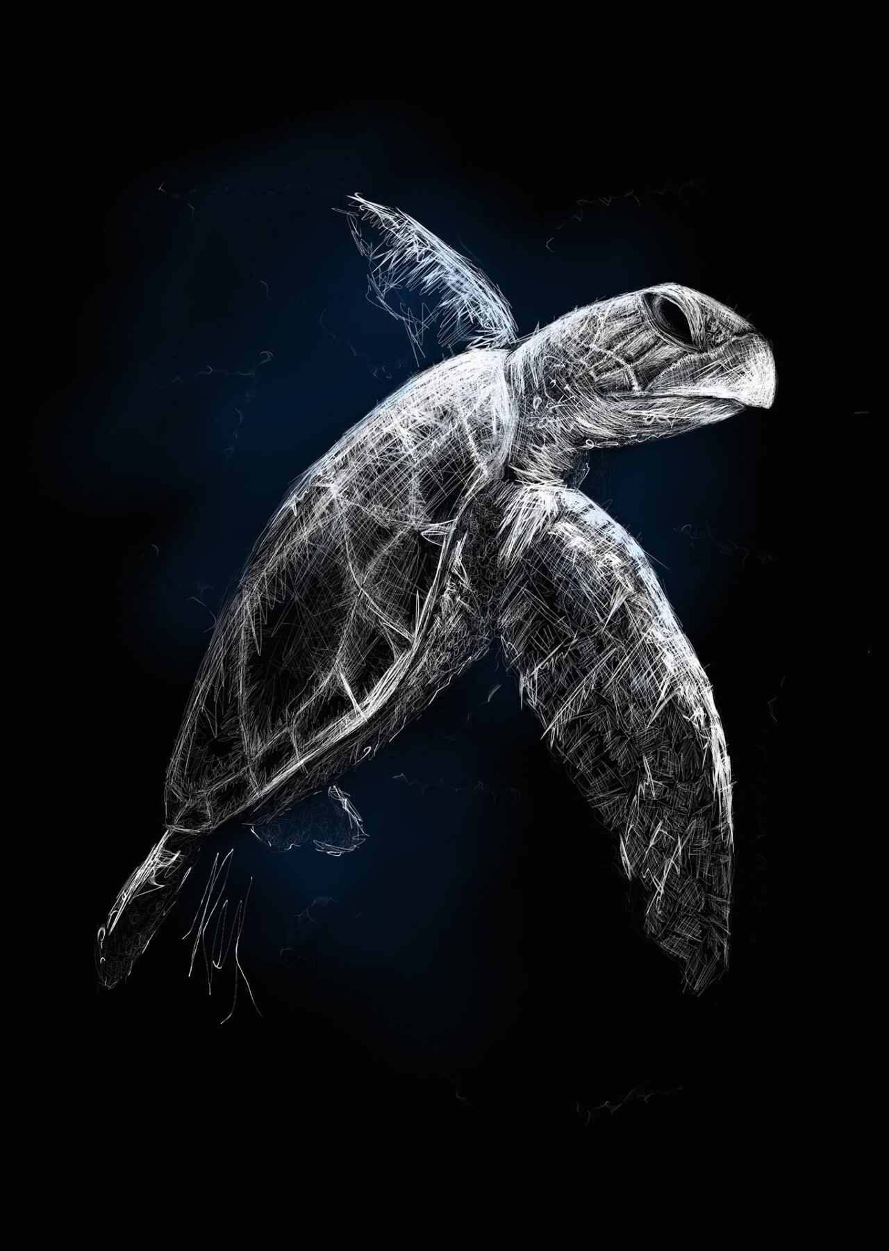 Black Ocean Turtle by Roxane Lapa
