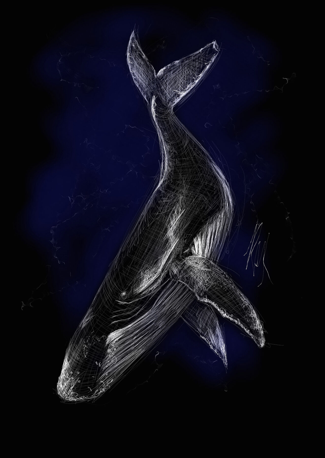 Black Ocean Whale by Roxane Lapa