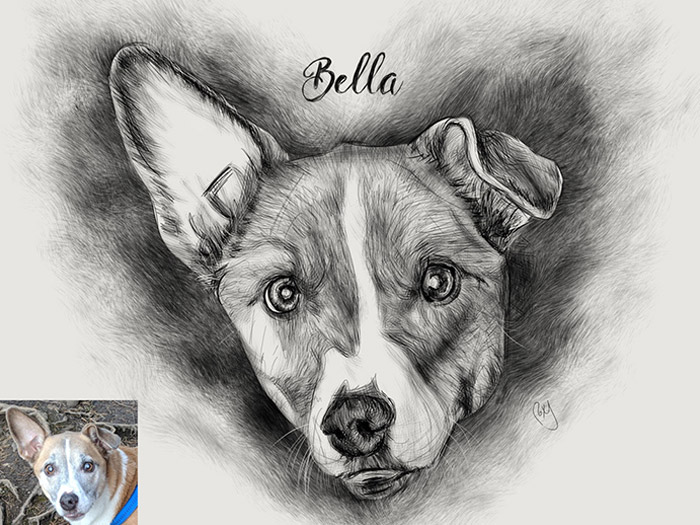 Pet Portraits by Roxane Lapa