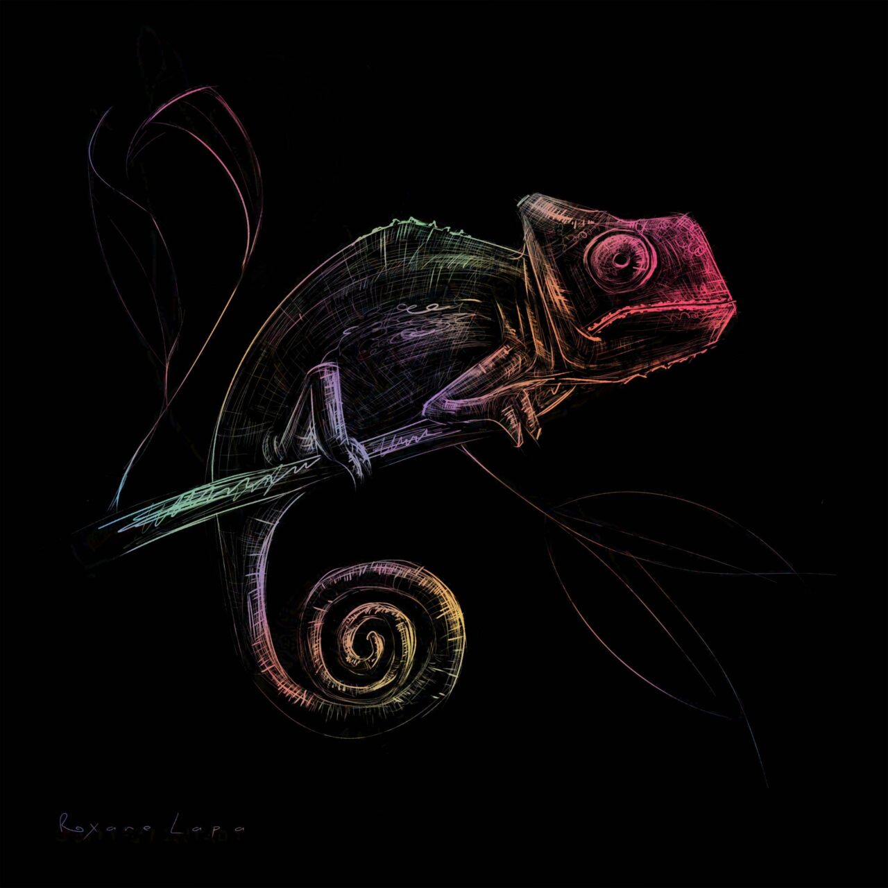 Rainbow Chameleon by Roxane Lapa