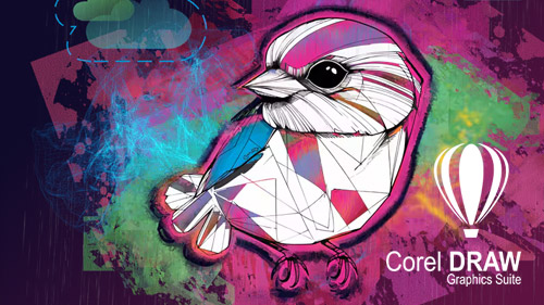 CorelDraw Black Friday Deal for digital Artists