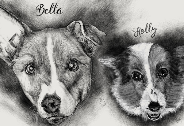 Pet portraits by Roxane Lapa