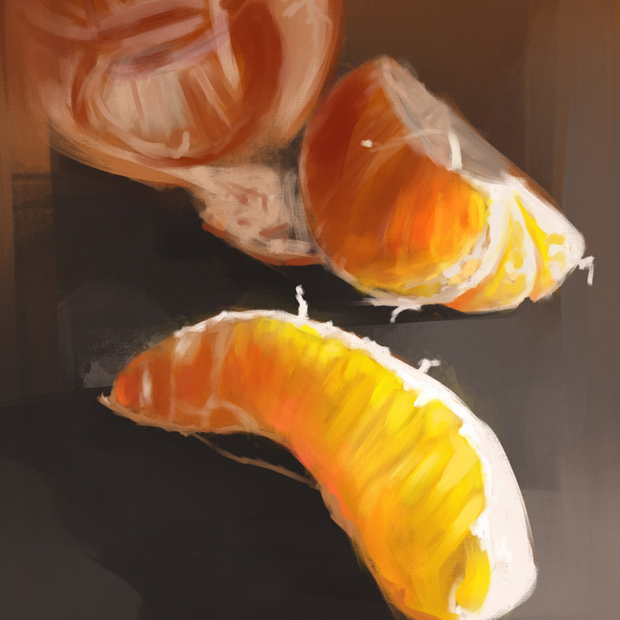 Mandarin Painterly Sketch by Roxane Lapa